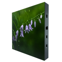 Полноцветная LED видеостена itC TV-OM800-BX