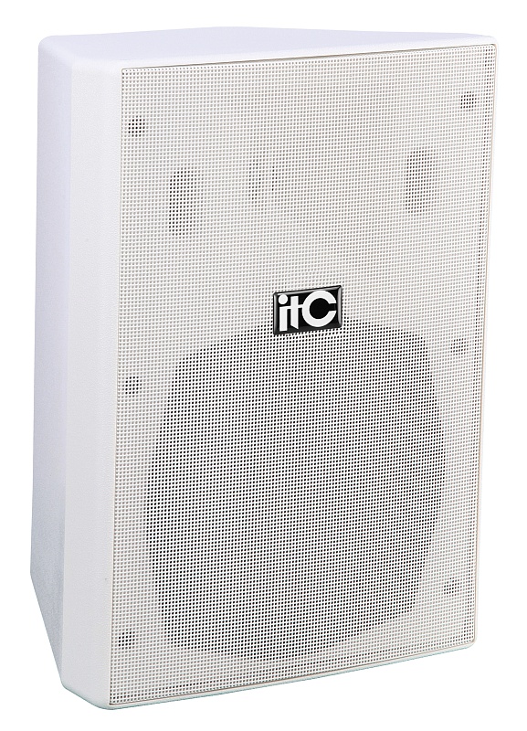 Громкоговоритель itC TS-9W