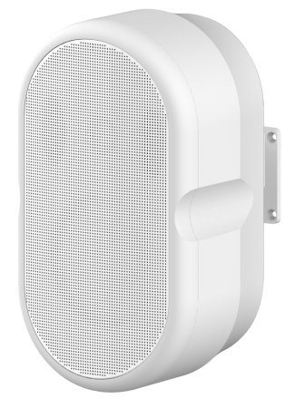 TS-605Y Настенный 5.25"+1" твитер, 100W 4 Ом, белый