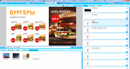 Лицензия Spinetix Elementi M SX-SW-EL-M1
