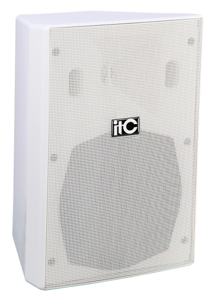 Громкоговоритель itC TS-9W