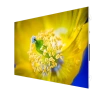 Полноцветная LED видеостена itC TV-PM156-YX