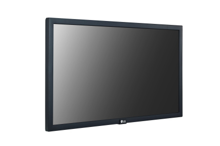 Дисплей FHD 22" LG 22SM3G-B